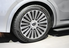To je znamka, za katero najbrž sploh še niste slišali, a je lani na domačem trgu prodala več luksuznih avtomobilov kot BMW in Mercedes-Benz
