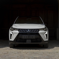 Novi Mitsubishi Grandis - Poznani neznanec