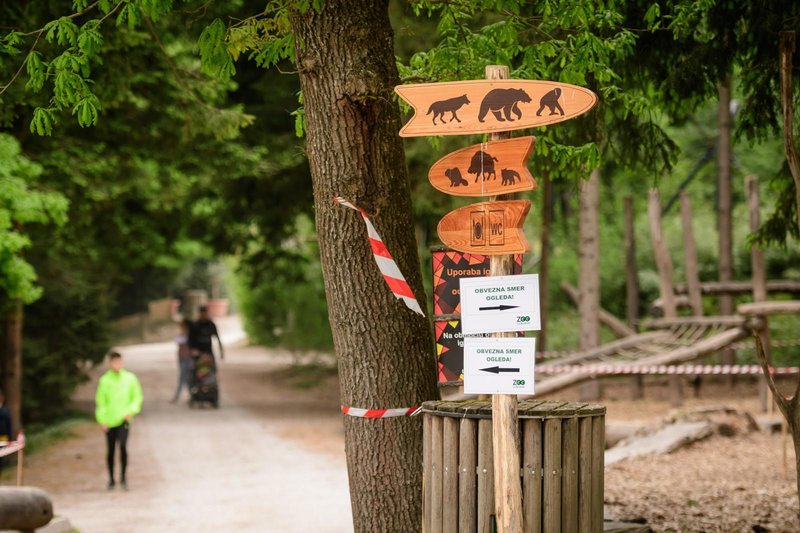 Opel in živalski vrt: "Morski psi prihajajo v ZOO"