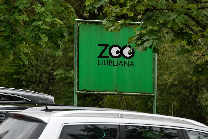 Opel in živalski vrt: "Morski psi prihajajo v ZOO"
