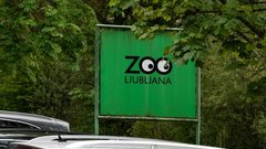 Opel in živalski vrt: "Morski psi prihajajo v ZOO"