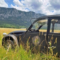 Postojna bo od danes naprej v znamenju "spačkov". Pričakujejo več tisoč avtomobilov
