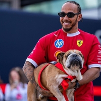 Lewis Hamilton potrdil: prihaja nadaljevanje filma F1