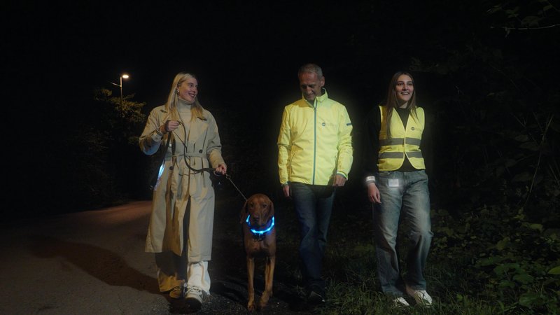AVP - Bodi viden, bodi previden