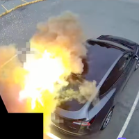 Teslo je priklopil na polnilnik, potem pa bi skoraj prišlo do tragedije. Razlog za požar pa tiči v ... (VIDEO)