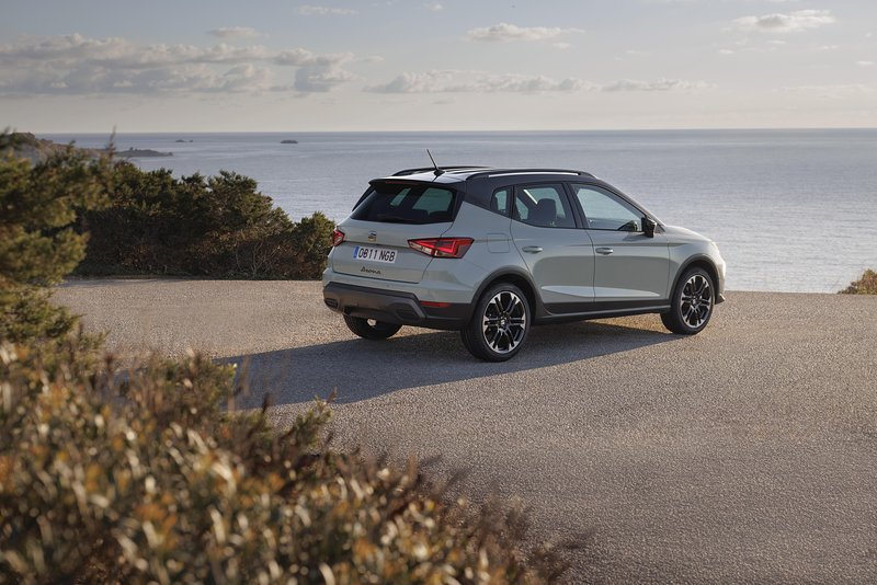 Prenova - Seat Ibiza in Arona