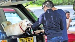 Na dražbi bodo prodali Range Roverja znanega pokojnega glasbenika