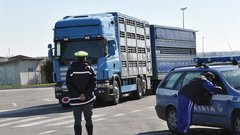 Italijanska policija napoveduje vojno dizelskim goljufom, najprej na udaru tovornjaki