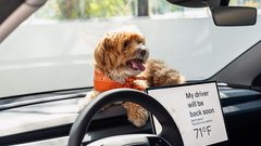 Tesla Model 3 Standard