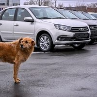 Težave ruskega Avtovaza: nižje povpraševanje in krepko zdesetkana proizvodnja