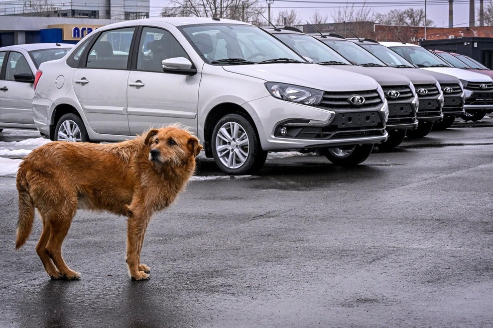 Težave ruskega Avtovaza: nižje povpraševanje in krepko zdesetkana proizvodnja