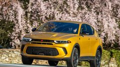 Američan, ki je živel samo tri leta in še to z italijansko genetiko