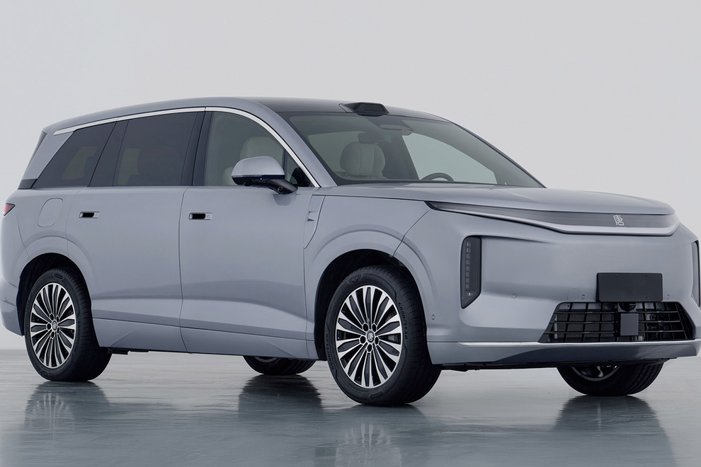 Bitka dveh kitajskih paradnih konjev na več kot petih metrih dolžine