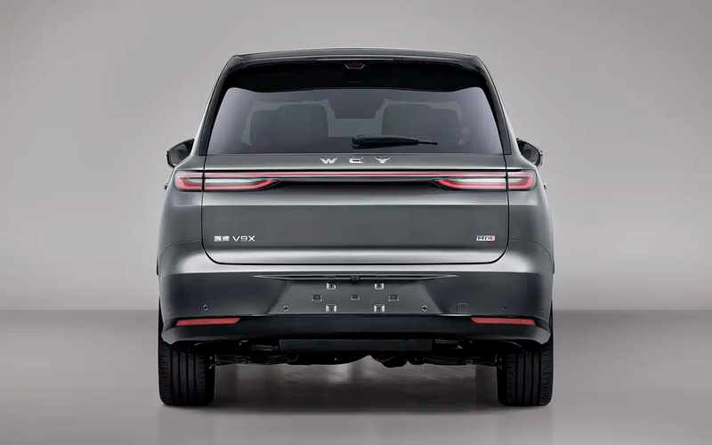 Bitka dveh kitajskih paradnih konjev na več kot petih metrih dolžine