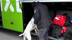 Vozniki tovornjakov prehitri, vozniki avtobusov pogosto brez predpisanih počitkov