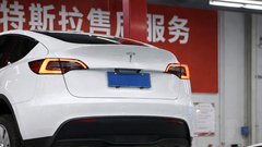 Nove težave za Teslo, tokrat na najmočnejšem trgu električnih avtomobilov