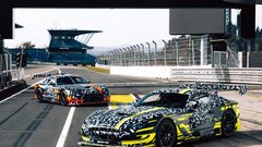 
                                                         Mercedes-AMG GT3 in Black Series