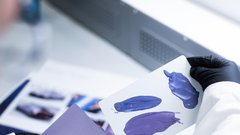 
                                                         Bugatti Mistral Caroline