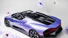 
                                                         Bugatti Mistral Caroline