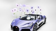 
                                                         Bugatti Mistral Caroline