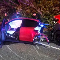 Prizor, ob katerem zaledeni kri v žilah - Porscheja je dobesedno razpolovilo, voznik pa ...