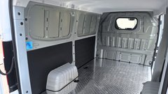 
                                                         Farizon v vlogi rešitelja slovenskega trga električnih dostavnikov