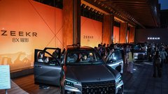 
                                                         Zeekr 8x