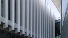 
                                                         Ta boljši od dvojčkov - test Kawasaki Z650S (2026)