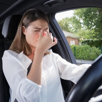 Lepo spomladansko vreme za vožnjo prinaša tudi neprijetnosti – to je ena izmed njih