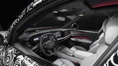 
                                                         Audi Q9 notranjost