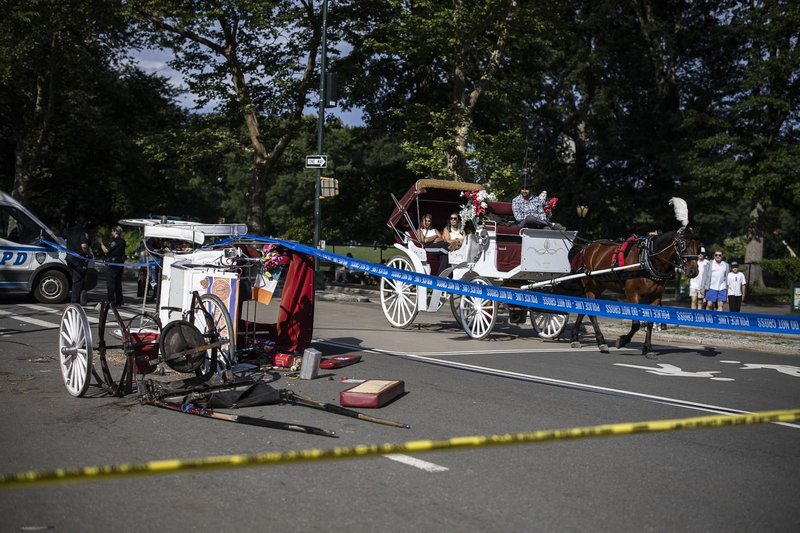 central park zda new york kocija divjanje konj smrt 18 let tragedija zalostno nesreca