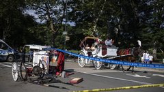 central park zda new york kocija divjanje konj smrt 18 let tragedija zalostno nesreca