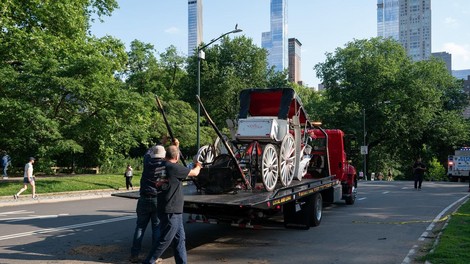 central park zda new york kocija divjanje konj smrt 18 let tragedija zalostno nesreca