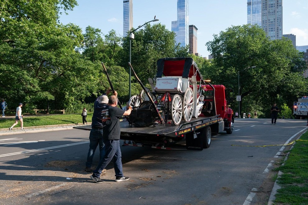 central park zda new york kocija divjanje konj smrt 18 let tragedija zalostno nesreca
