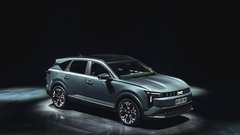 
                                                         Dacia Striker