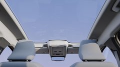 
                                                         Dacia Striker