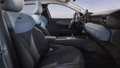 
                                                         Dacia Striker