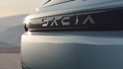 
                                                         Dacia Striker