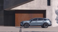 
                                                         Dacia Striker