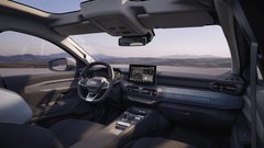 
                                                         Dacia Striker