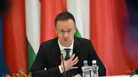 Bil je minister v vladi, ki je odobrila gradnjo tovarne kitajskemu velikanu, sedaj pa ima novo službo. Uganite, kje