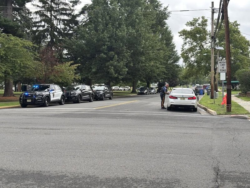 Policist grmovje