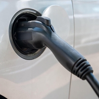V Sloveniji zavladal kaos na trgu električnih vozil: kupci razjarjeni, država se brani, pozivi k ukrepanju vse glasnejši