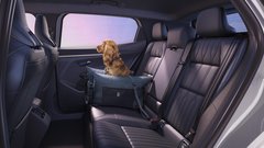 
                                                         Renault Scenic e-tech prenova