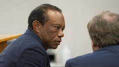 Tiger Woods - vožnja pod vplivom alkohola