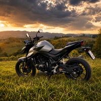 Test: Honda CB 750 Hornet (E-sklopka) - V sršenjem gnezdu