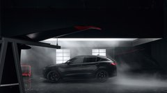 
                                                         Alfa Romeo Luna Rosa