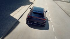 
                                                         Aston Martin DBX GT