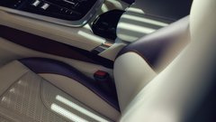 
                                                         Aston Martin DBX GT