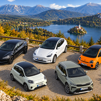 Slovenski avtomobilski trg: prikčakovan septembrski zdrs pri električnih avtomobilih